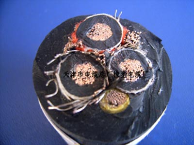 66kV220kV絕緣子雷擊與其劣化關(guān)系的分析_no.170