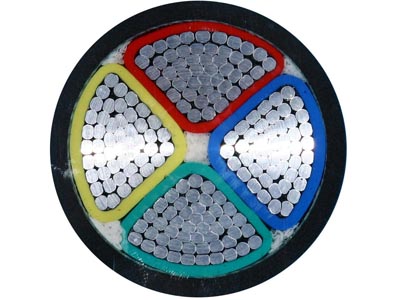 電纜價(jià)格:關(guān)于電線電纜災(zāi)害及土建工程的預(yù)防措施_no.27